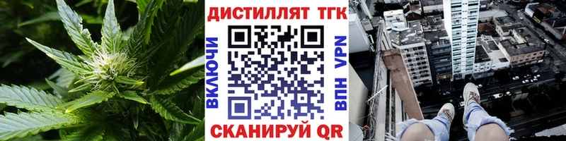 omg tor  купить наркотик  Касли  ТГК вейп 
