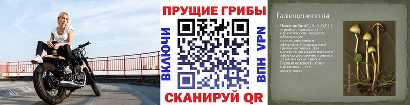 Галлюциногенные грибы мицелий  Касли 